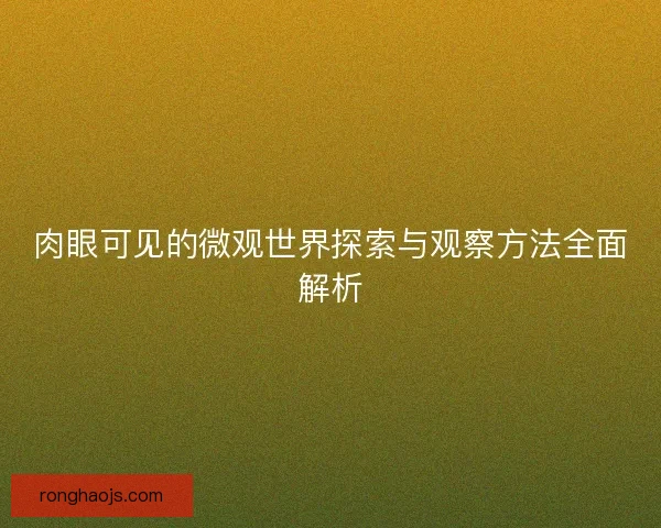 肉眼可见的微观世界探索与观察方法全面解析